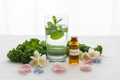 Pacote Online Mente e Corpo (Nutrição + Floral na mesma consulta)